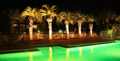 landscape lighting installation services illuminating outdoor recreational areas in Bellevue, WA
