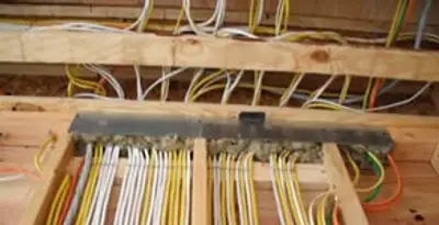 new construction wiring services with organized electrical rough-in performed by licensed electricians in Bellevue, WA