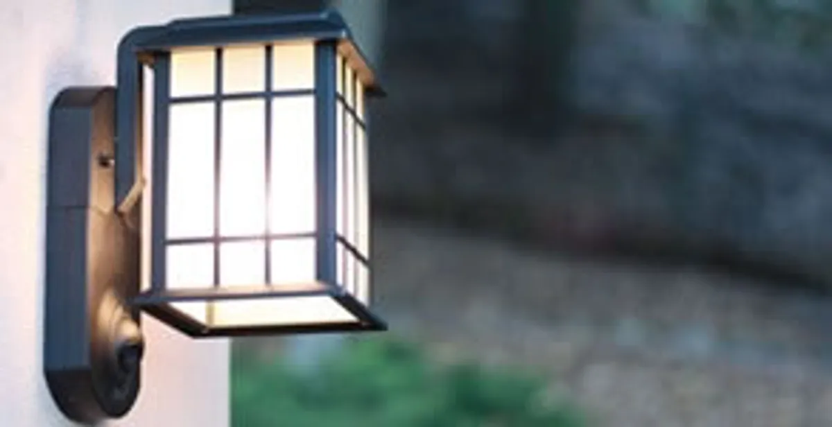 security light installation services with professionally mounted exterior wall light in Bellevue, WA